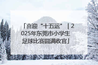 喜迎“十五运”｜2025年东莞市小学生足球比赛圆满收官