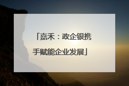 嘉禾：政企银携手赋能企业发展