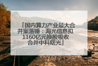 国内算力产业最大合并案落锤：海光信息拟1160亿元换股吸收合并中科曙光