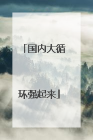 国内大循环强起来