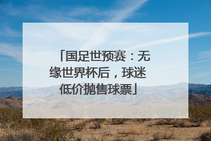 国足世预赛：无缘世界杯后，球迷低价抛售球票
