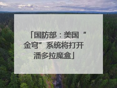 国防部：美国“金穹”系统将打开潘多拉魔盒