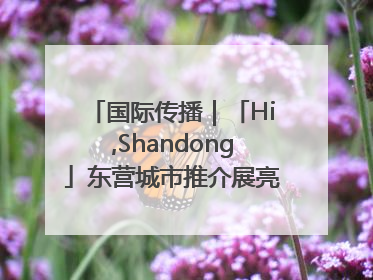 国际传播｜「Hi,Shandong」东营城市推介展亮相“从蒙马特到加里波第”文化节