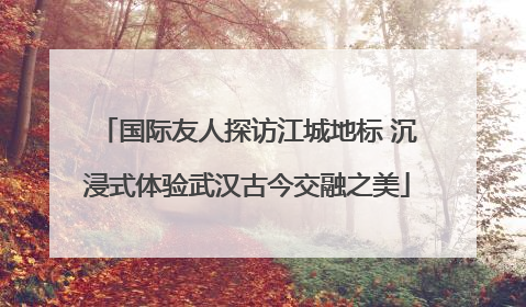 国际友人探访江城地标 沉浸式体验武汉古今交融之美