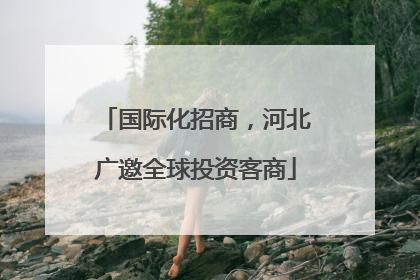 国际化招商，河北广邀全球投资客商