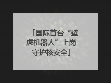 国际首台“壁虎机器人”上岗守护核安全