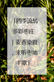 四季流转 多彩枣庄｜麦香染夏，来听枣地丰歌