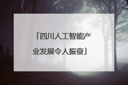 四川人工智能产业发展令人振奋