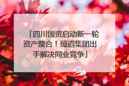 四川国资启动新一轮资产整合！蜀道集团出手解决同业竞争