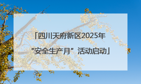 四川天府新区2025年“安全生产月”活动启动