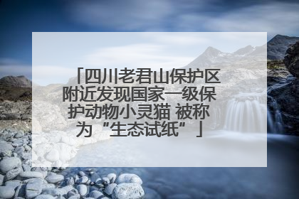 四川老君山保护区附近发现国家一级保护动物小灵猫 被称为“生态试纸”