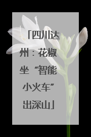 四川达州：花椒坐“智能小火车”出深山