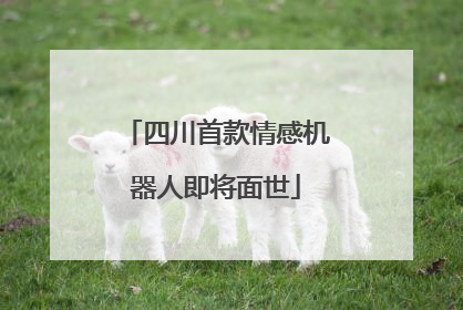 四川首款情感机器人即将面世