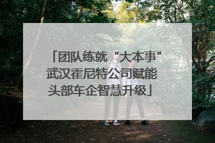 团队练就“大本事” 武汉霍尼特公司赋能头部车企智慧升级