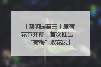 圆明园第三十届荷花节开幕，首次推出“荷梅”双花展