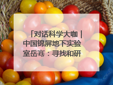对话科学大咖｜中国锦屏地下实验室岳骞：寻找和研究暗物质，就是要去突破人类的认知边界