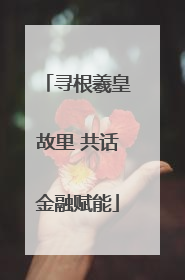 寻根羲皇故里 共话金融赋能
