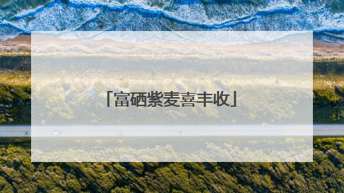 富硒紫麦喜丰收