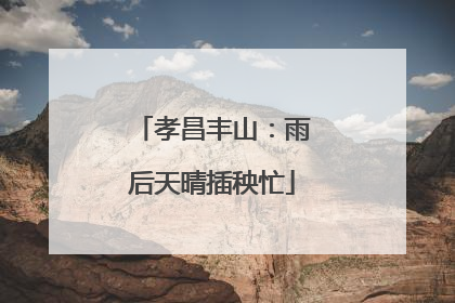 孝昌丰山：雨后天晴插秧忙