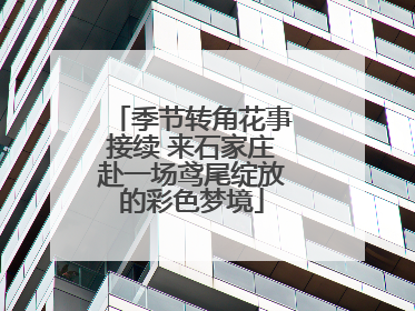 季节转角花事接续 来石家庄赴一场鸢尾绽放的彩色梦境