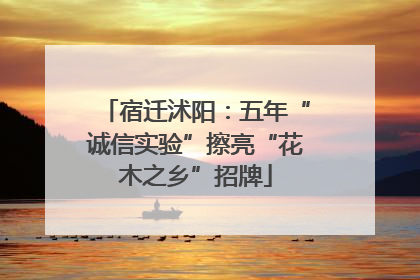 宿迁沭阳：五年“诚信实验”擦亮“花木之乡”招牌