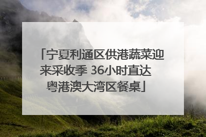 宁夏利通区供港蔬菜迎来采收季 36小时直达粤港澳大湾区餐桌