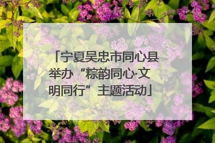 宁夏吴忠市同心县举办“粽韵同心·文明同行”主题活动