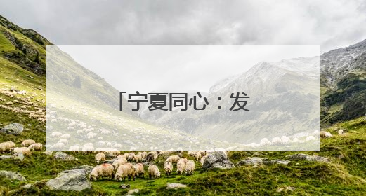 宁夏同心：发展分布式光伏 助力乡村振兴