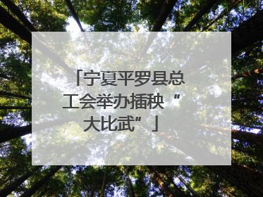 宁夏平罗县总工会举办插秧“大比武”