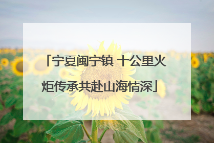 宁夏闽宁镇 十公里火炬传承共赴山海情深