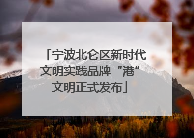 宁波北仑区新时代文明实践品牌“港”文明正式发布