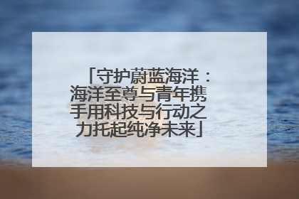 守护蔚蓝海洋：海洋至尊与青年携手用科技与行动之力托起纯净未来