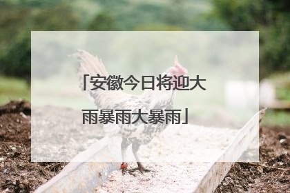 安徽今日将迎大雨暴雨大暴雨