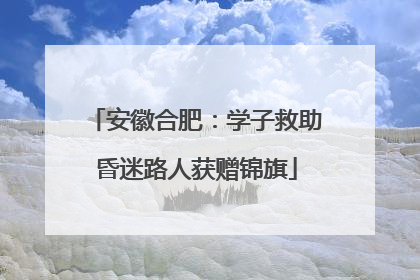 安徽合肥：学子救助昏迷路人获赠锦旗