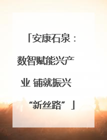 安康石泉：数智赋能兴产业 铺就振兴“新丝路”