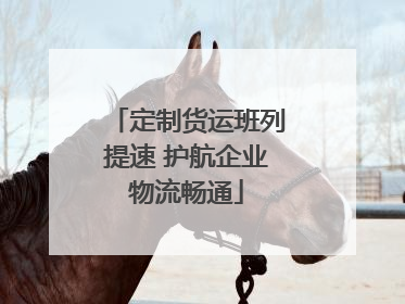 定制货运班列提速 护航企业物流畅通