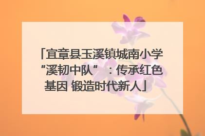 宜章县玉溪镇城南小学“溪韧中队”：传承红色基因 锻造时代新人