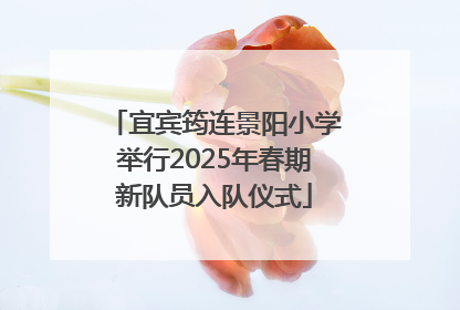 宜宾筠连景阳小学举行2025年春期新队员入队仪式