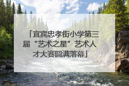 宜宾忠孝街小学第三届“艺术之星”艺术人才大赛圆满落幕