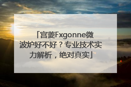 宫菱Fxgonne微波炉好不好？专业技术实力解析，绝对真实