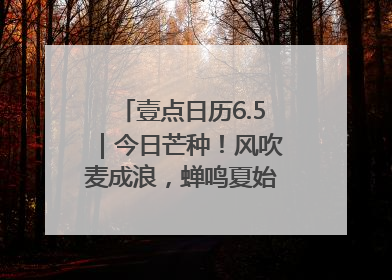壹点日历6.5｜今日芒种！风吹麦成浪，蝉鸣夏始忙！大家早安