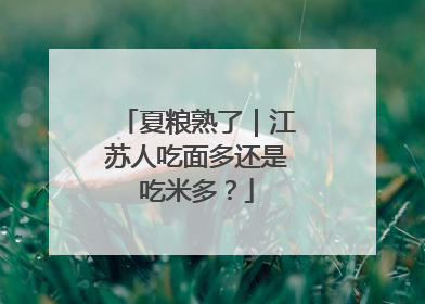 夏粮熟了｜江苏人吃面多还是吃米多？