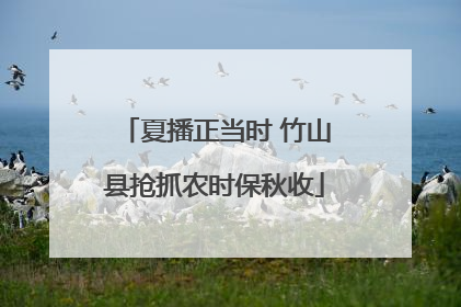 夏播正当时 竹山县抢抓农时保秋收