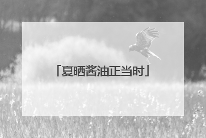夏晒酱油正当时
