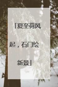 夏至荷风起，石门绘新景