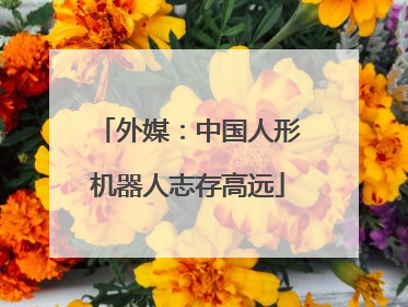 外媒：中国人形机器人志存高远