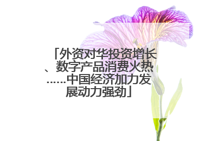 外资对华投资增长、数字产品消费火热……中国经济加力发展动力强劲