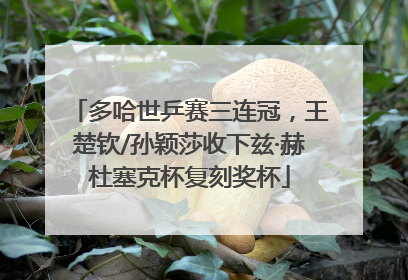 多哈世乒赛三连冠，王楚钦/孙颖莎收下兹·赫杜塞克杯复刻奖杯