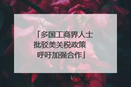 多国工商界人士批驳美关税政策 呼吁加强合作