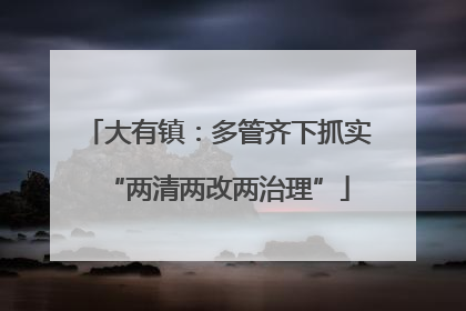 大有镇：多管齐下抓实“两清两改两治理”
